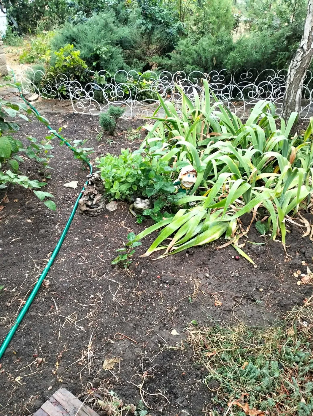 Garden beds at the rehabilitation centre